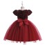 Glamorous Burgundy Sequin Girls' Dress AZ002DR