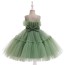 O Neck Sleeveless Tulle Birthday Dress AZ007