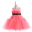 O Neck Sleeveless Tulle Birthday Dress AZ007