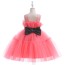 O Neck Sleeveless Tulle Birthday Dress AZ007