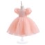 Puff Sleeve Flower Girl Dress AZ009