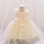 Charming Flower Decorated Party Dress for Girls AZ011