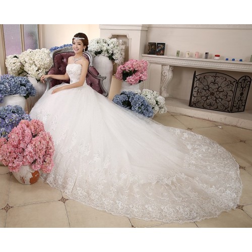 Strapless Wedding Dress with Long Train XN122